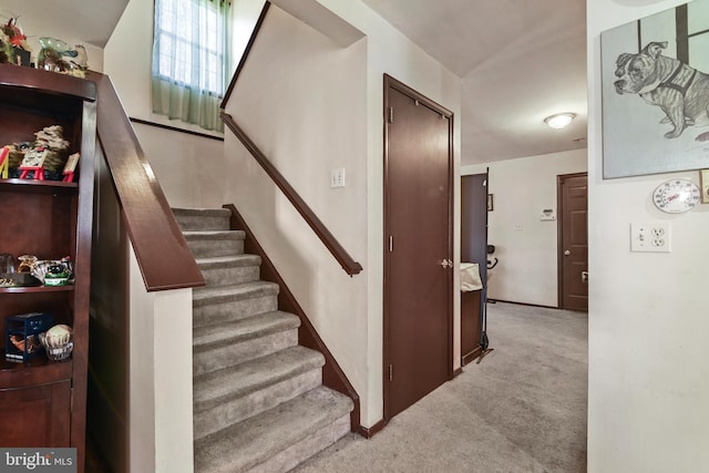 staircase with carpet flooring