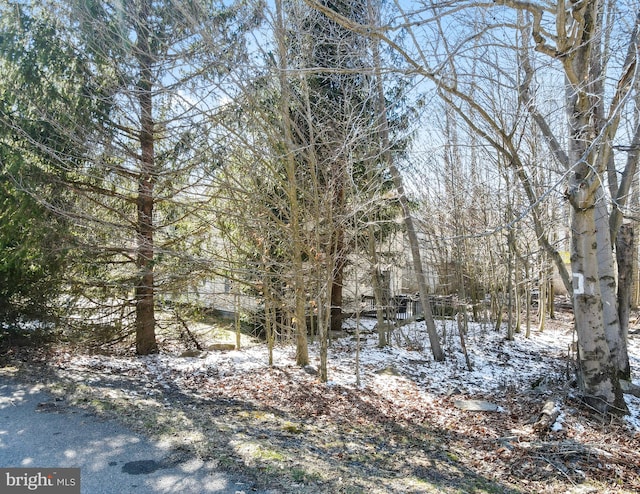 view of yard covered in snow