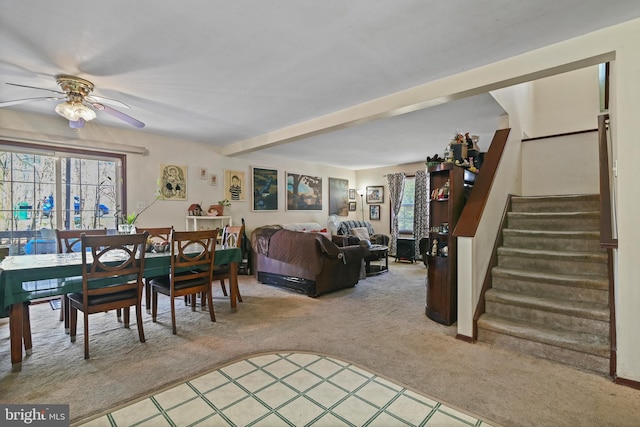 carpeted dining space featuring ceiling fan and beamed ceiling