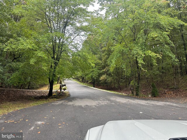 view of road featuring a view of trees