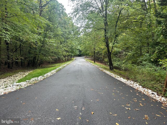 view of street featuring a view of trees