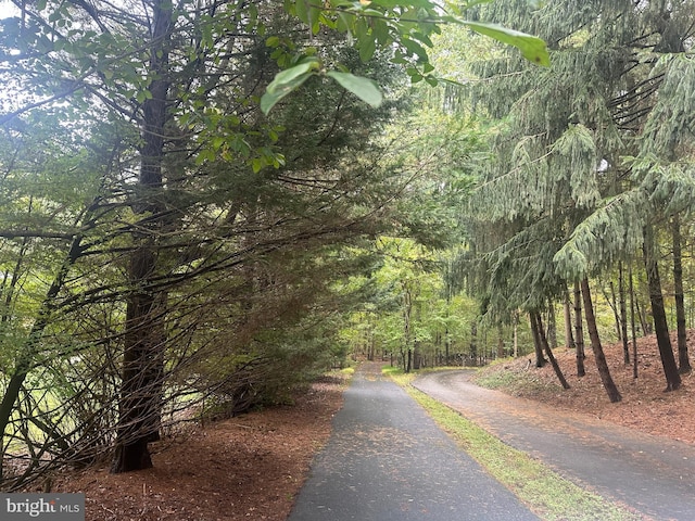 view of street with a wooded view