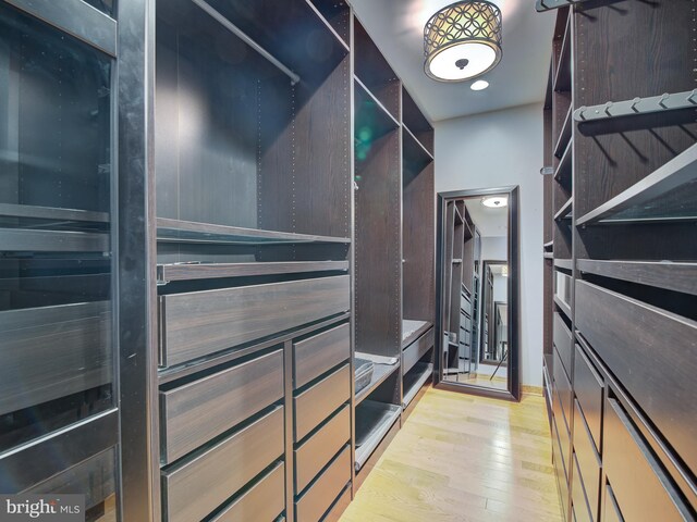 spacious closet with light wood finished floors