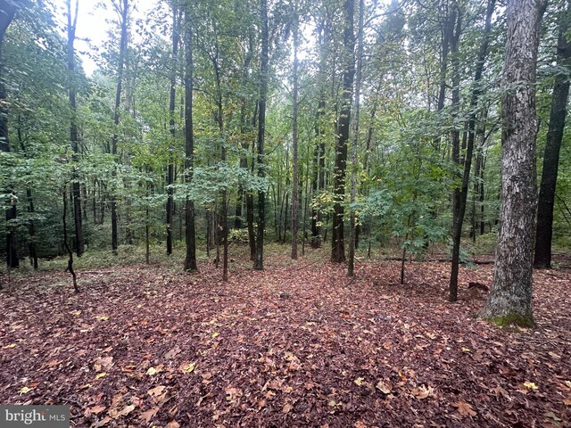 view of local wilderness featuring a forest view