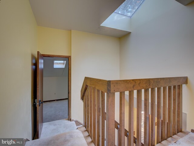 stairway featuring a skylight and carpet