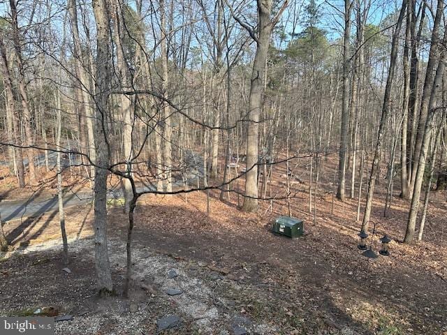 206 Mustang Ct, Gambrills, MD 21054 - view of landscape
