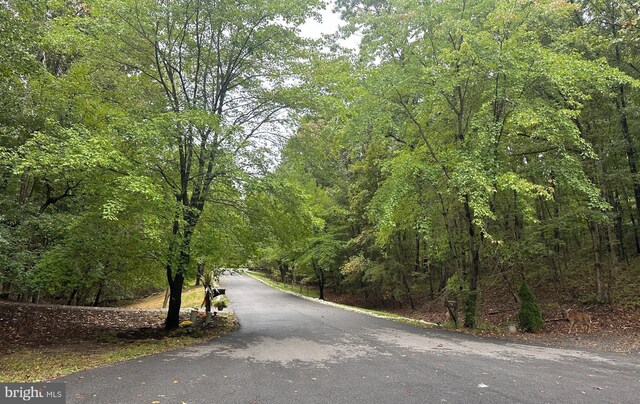 view of road featuring a wooded view