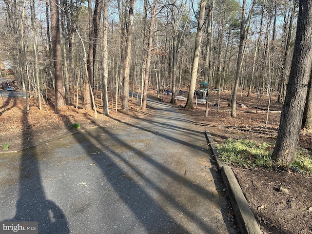 206 Mustang Ct, Gambrills, MD 21054 - view of road