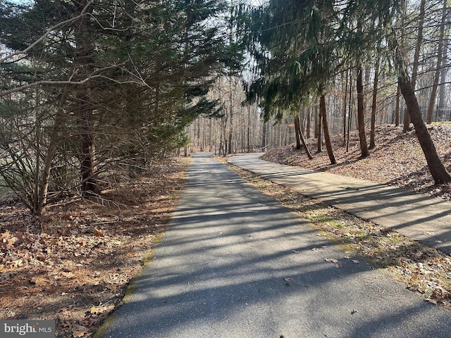 206 Mustang Ct, Gambrills, MD 21054 - view of road