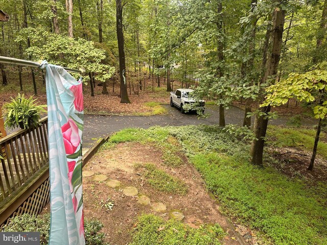 view of yard featuring a view of trees