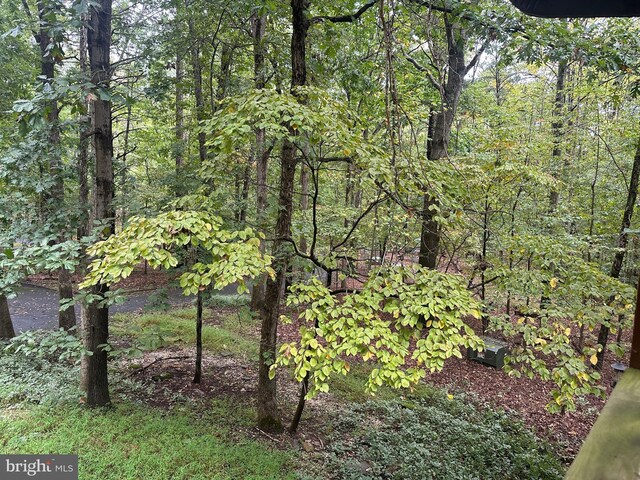 view of local wilderness with a view of trees