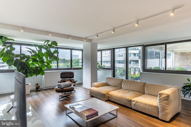 living room featuring rail lighting and wood-type flooring