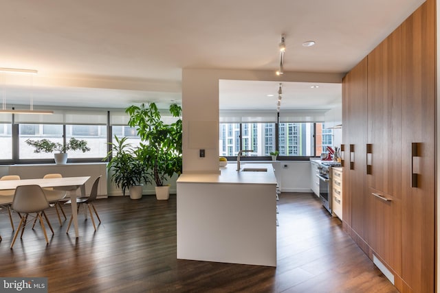 kitchen with dark wood-type flooring, a wealth of natural light, stainless steel range, and sink