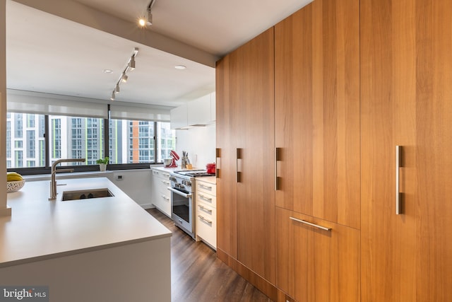 kitchen featuring high end stove, sink, white cabinets, and dark hardwood / wood-style flooring