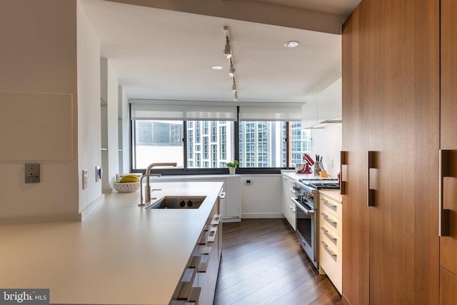 kitchen with stainless steel range, white cabinets, and a wealth of natural light