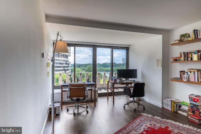 office with dark hardwood / wood-style floors