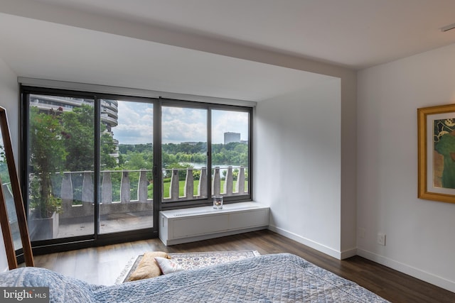 unfurnished bedroom featuring multiple windows and dark hardwood / wood-style flooring