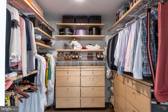 view of spacious closet