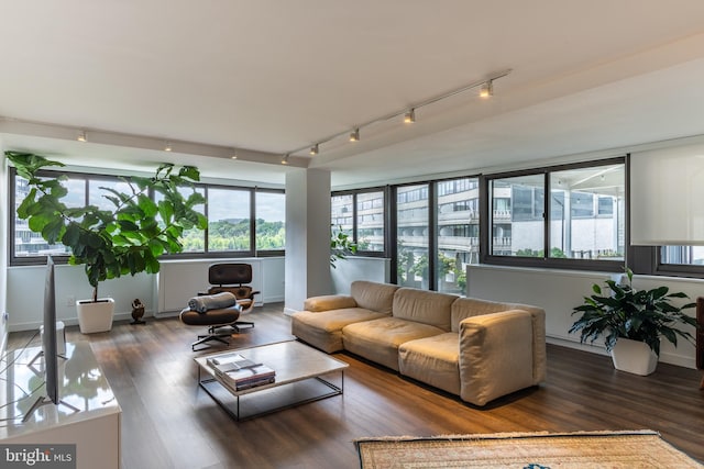 living room with dark hardwood / wood-style floors