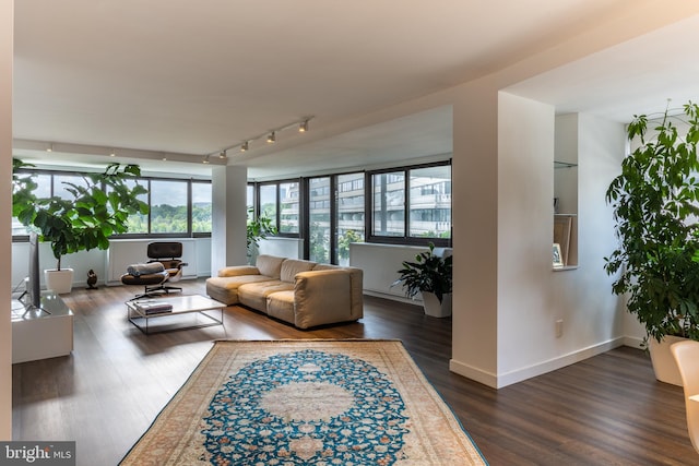 living room featuring dark hardwood / wood-style flooring