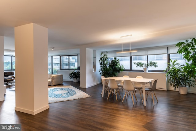 dining area with dark hardwood / wood-style flooring