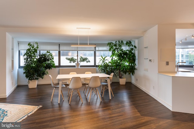 dining space with dark hardwood / wood-style floors and sink