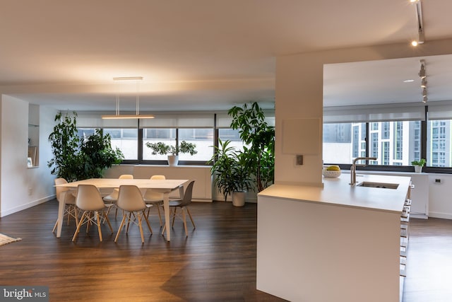 dining area featuring dark hardwood / wood-style floors, sink, track lighting, and plenty of natural light