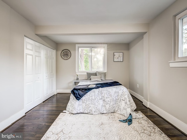 bedroom with multiple windows, dark hardwood / wood-style floors, and a closet