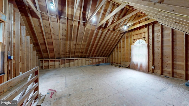 view of unfinished attic