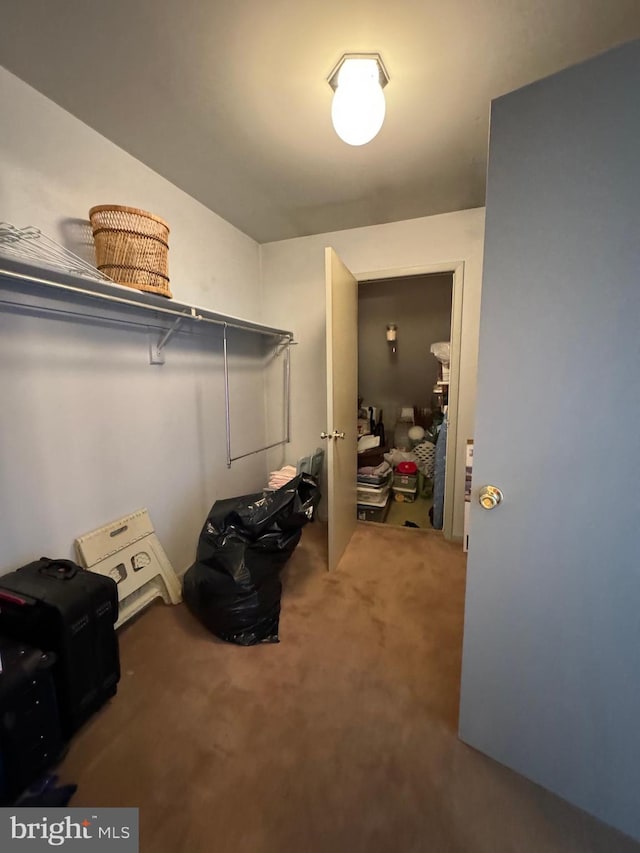 spacious closet with carpet