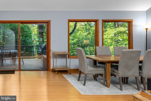 dining space with light hardwood / wood-style floors