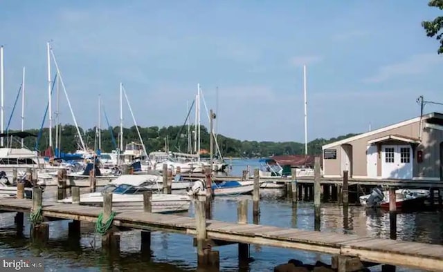 dock area with a water view