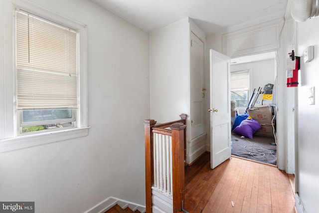 hall featuring hardwood / wood-style floors and a wealth of natural light