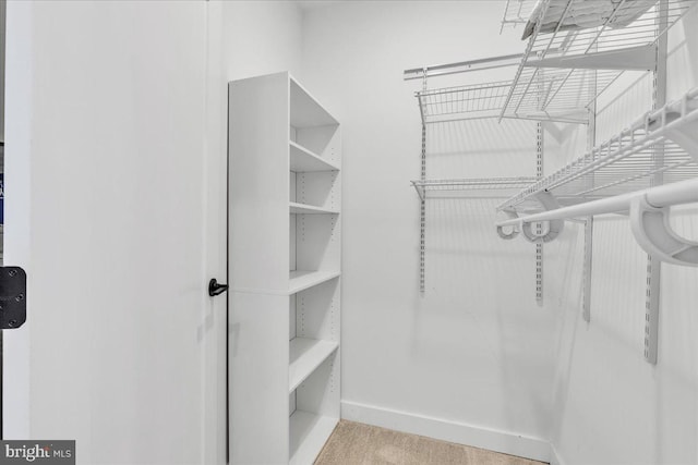 spacious closet featuring light carpet