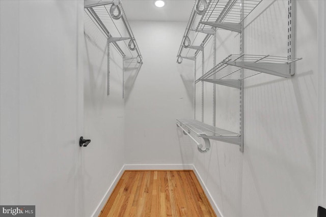 spacious closet featuring wood-type flooring