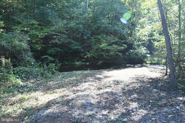 Listing photo 3 for Dismal Hollow Rd, Front Royal VA 22630