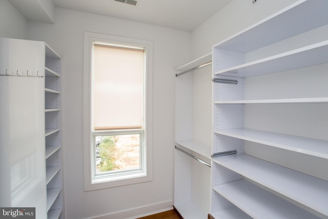 view of walk in closet