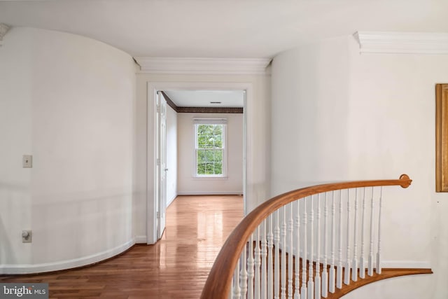 hall with ornamental molding and hardwood / wood-style flooring