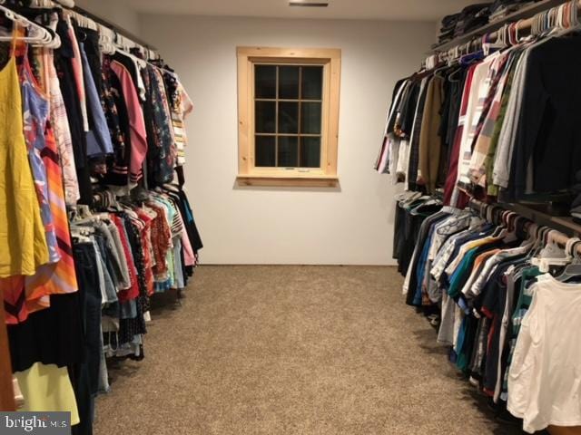 walk in closet featuring carpet floors