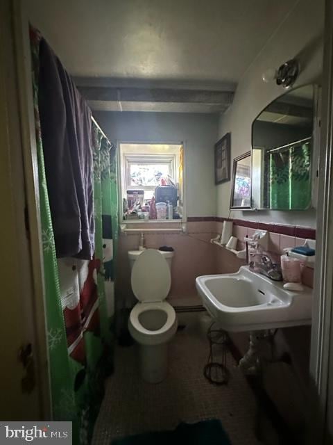 bathroom with sink and toilet