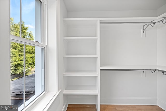 spacious closet featuring hardwood / wood-style floors