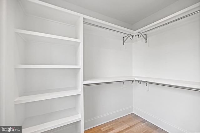 walk in closet with light wood-type flooring