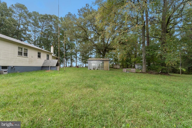 view of yard featuring a shed