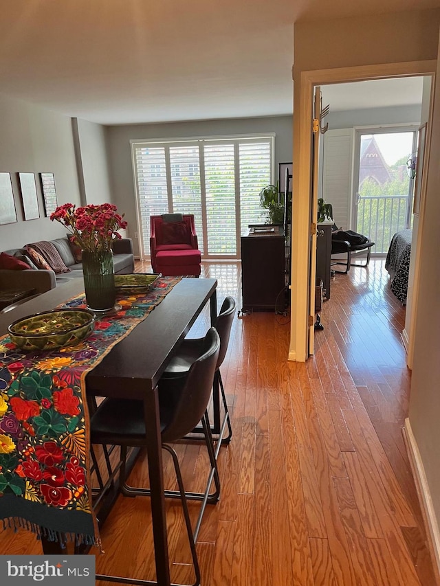 dining space with a healthy amount of sunlight and light hardwood / wood-style floors