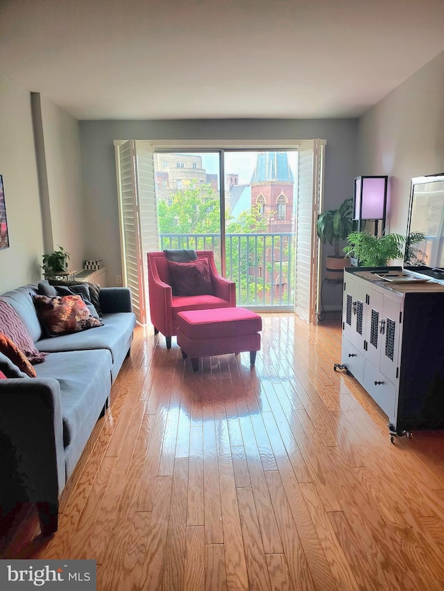 living room with light hardwood / wood-style flooring