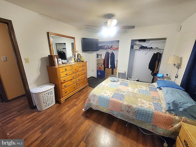 bedroom featuring a closet, dark hardwood / wood-style floors, and ceiling fan