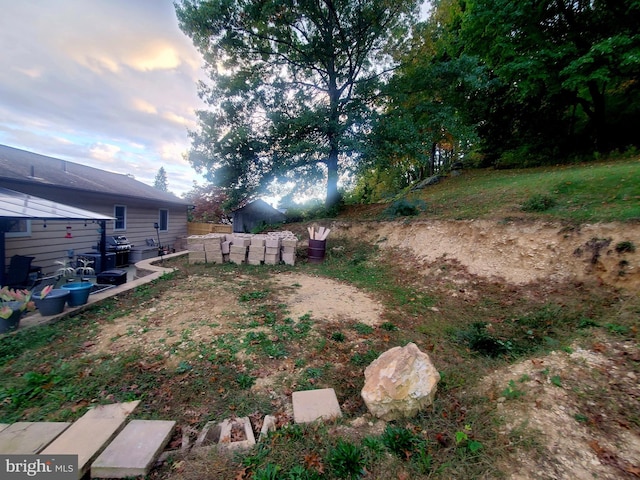 view of yard at dusk