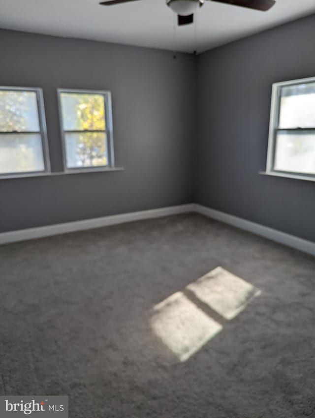 empty room with a wealth of natural light, ceiling fan, and carpet floors