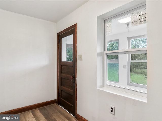 foyer featuring dark wood-type flooring