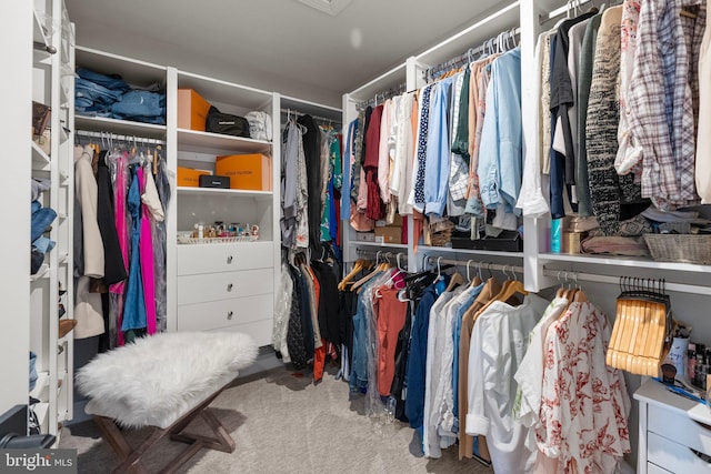 spacious closet featuring light colored carpet